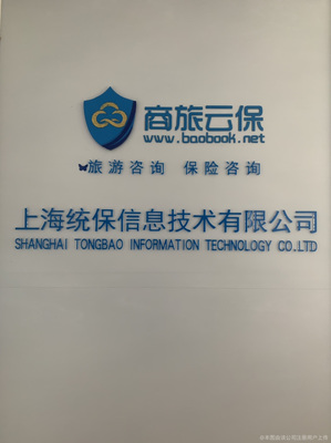 统保信息技术专业咨询指南