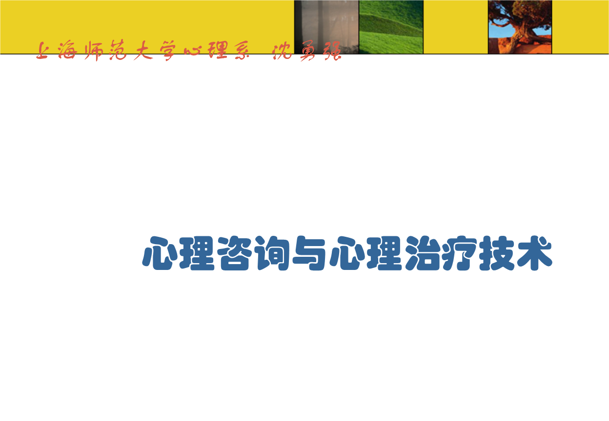 心理咨询与心理治疗技术上海师范大学心理系.ppt